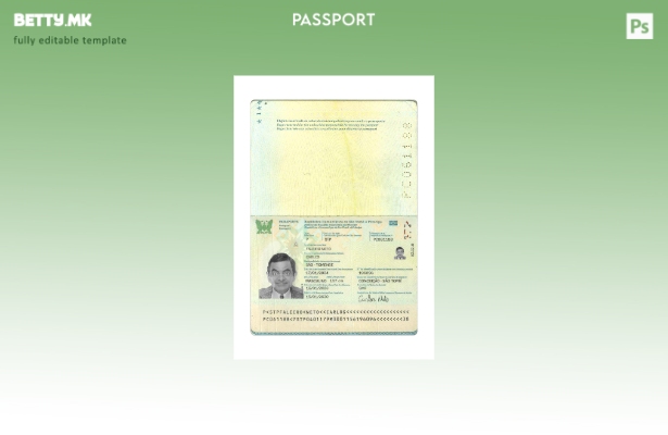 Модерен стил присутен шаблон за пасош на Сао Томе и Принципе